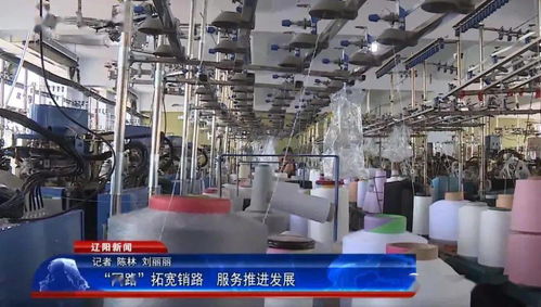 網路拓寬銷路，服務推進發展 軟件開發與技術服務的新引擎